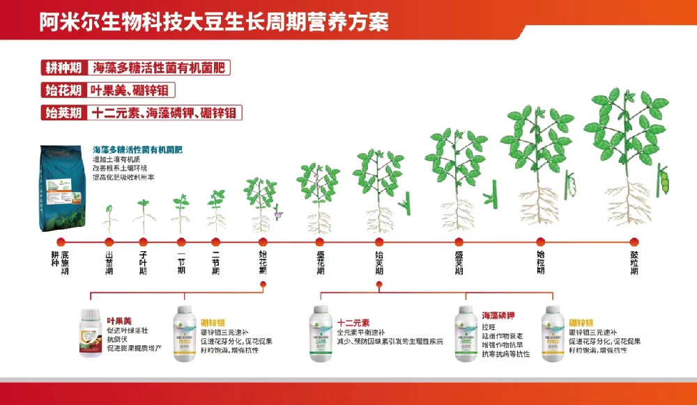 阿米爾生物科技大豆生長周期營養(yǎng)方案