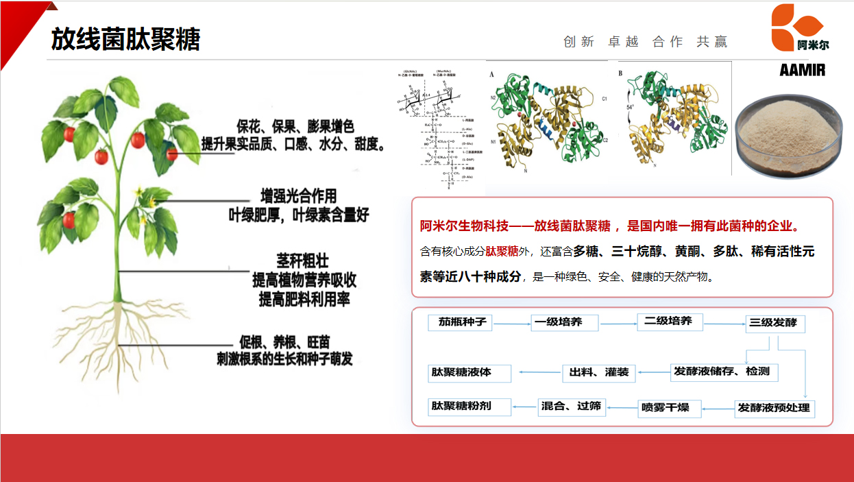 放射性聚肽糖.jpg